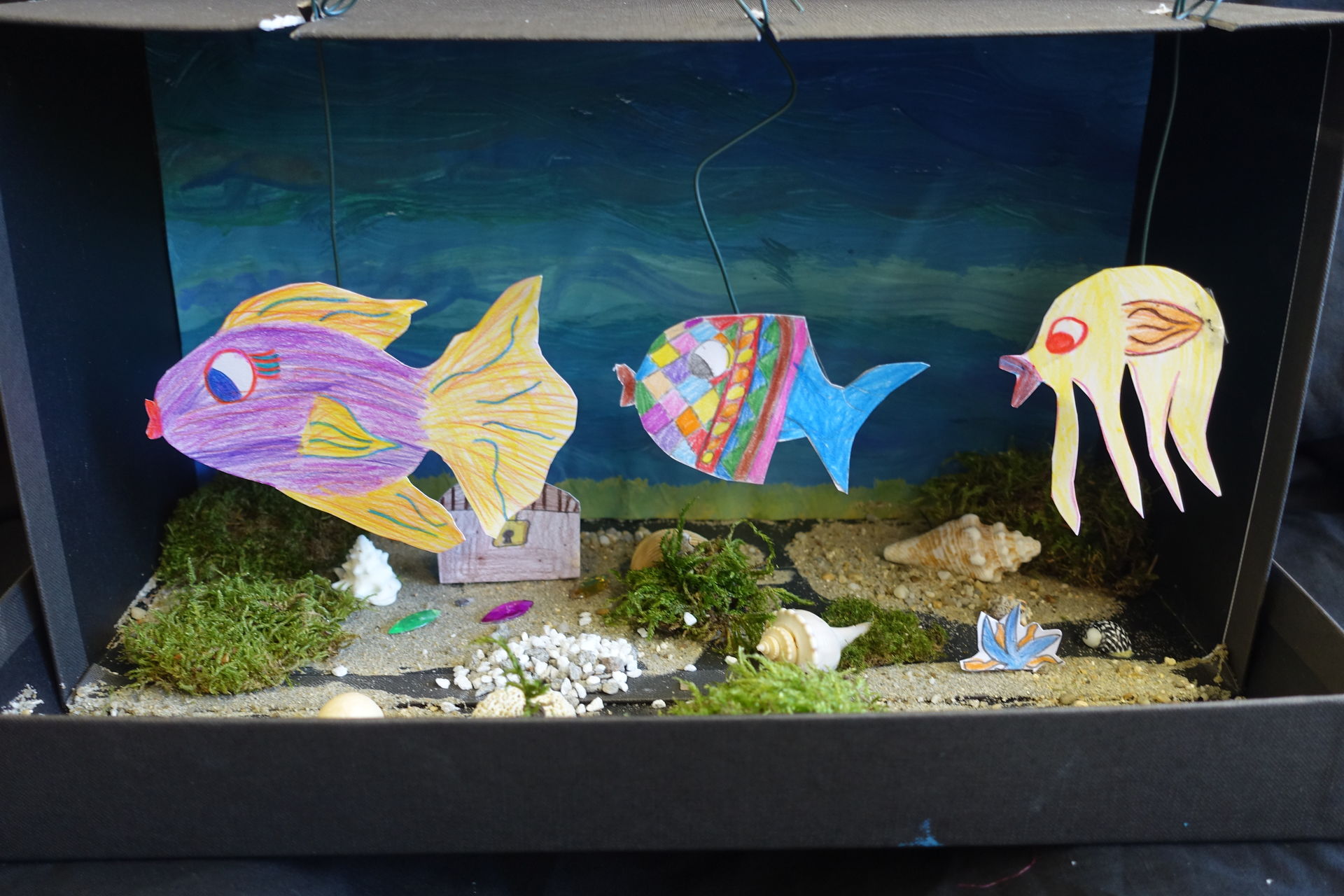 Der Karneval Der Tiere Aquarium